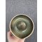 Moss Green Juicer