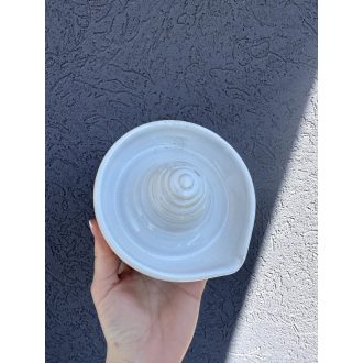 White Juicer