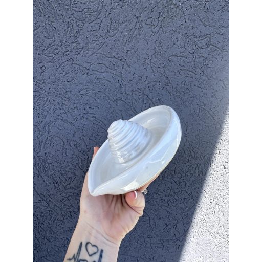 White Juicer