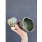 Moss Green Heart Shape Matcha szett