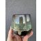 Green Forest Mug