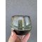 Green Forest Mug