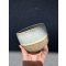 Light Peach Mug